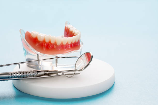  Elizabeth, PA Dental Services Pros
